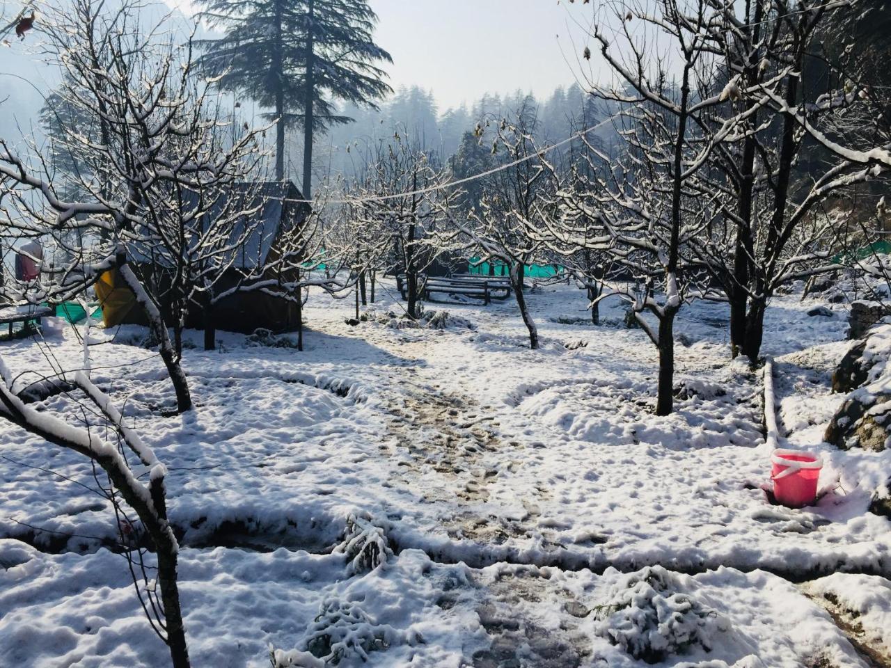 Himtrek Riverside Camps & Hostel Manali Exterior foto